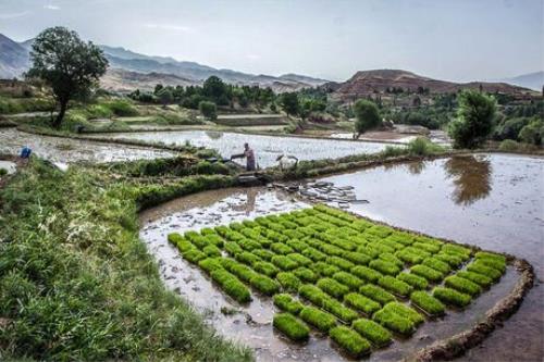بررسی لایحه اصلاح قانون حفظ كاربری اراضی زراعی و باغ ها در دولت
