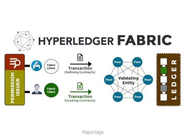 کاربردهای مهم هایپرلجر فابریک