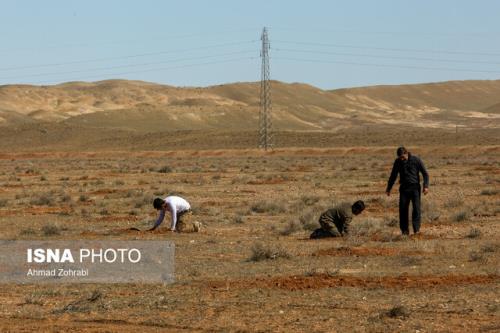 زمینهای واگذاری باید زیرساخت و امکانات داشته باشند