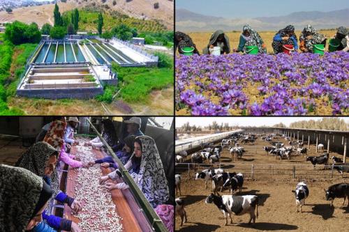 ایجاد ۴۴ هزار شغل در مناطق روستایی