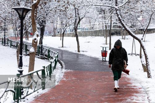 اخطار یخبندان به کشاورزان کاهش ۱۲ درجه ای دمای هوا