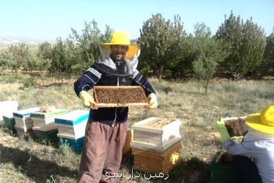 ایجاد ۲۶۳ هزار شغل پایدار با وام های اشتغال روستایی